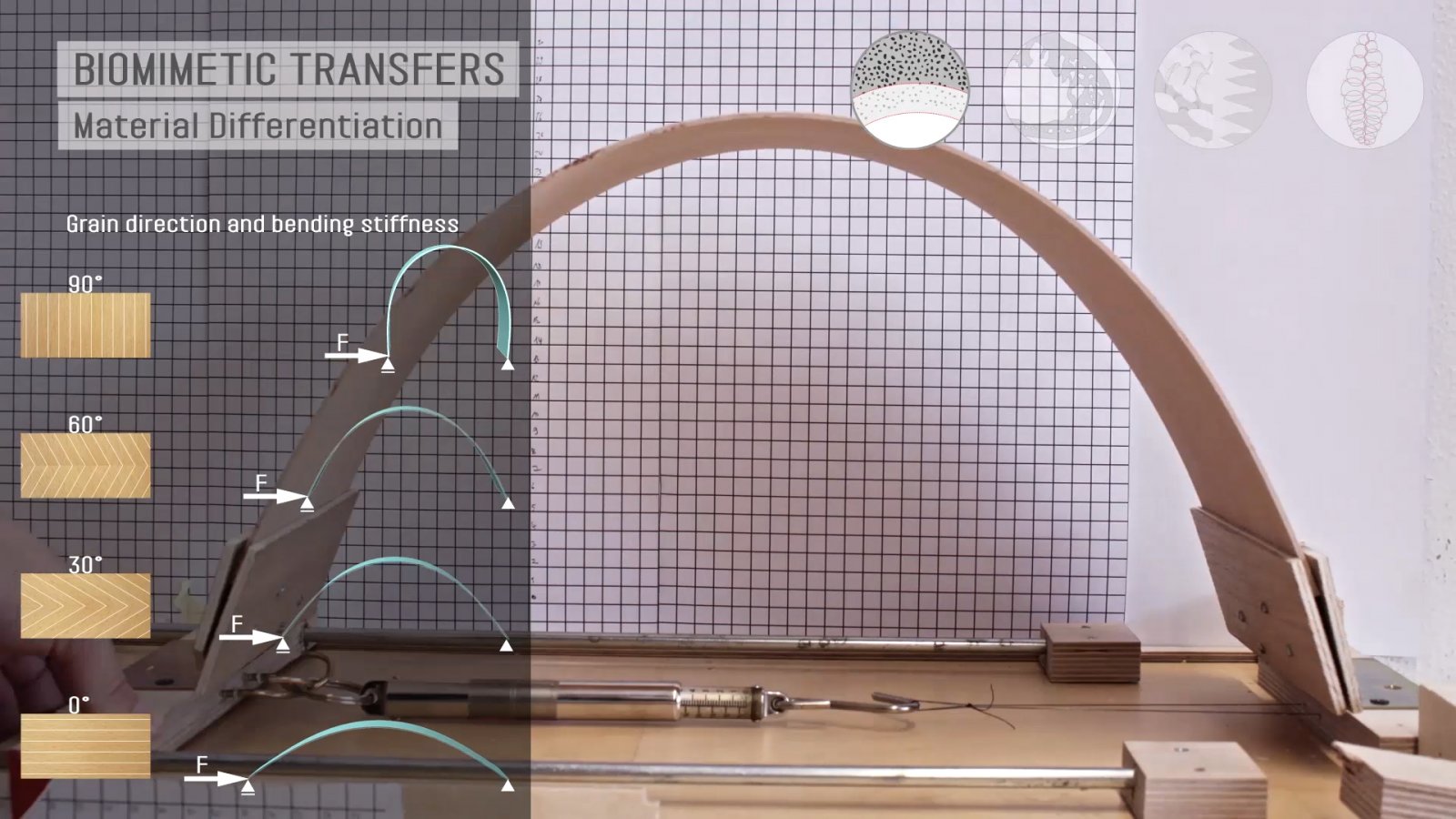 Process. Image © ICD/ITKE University of Stuttgart