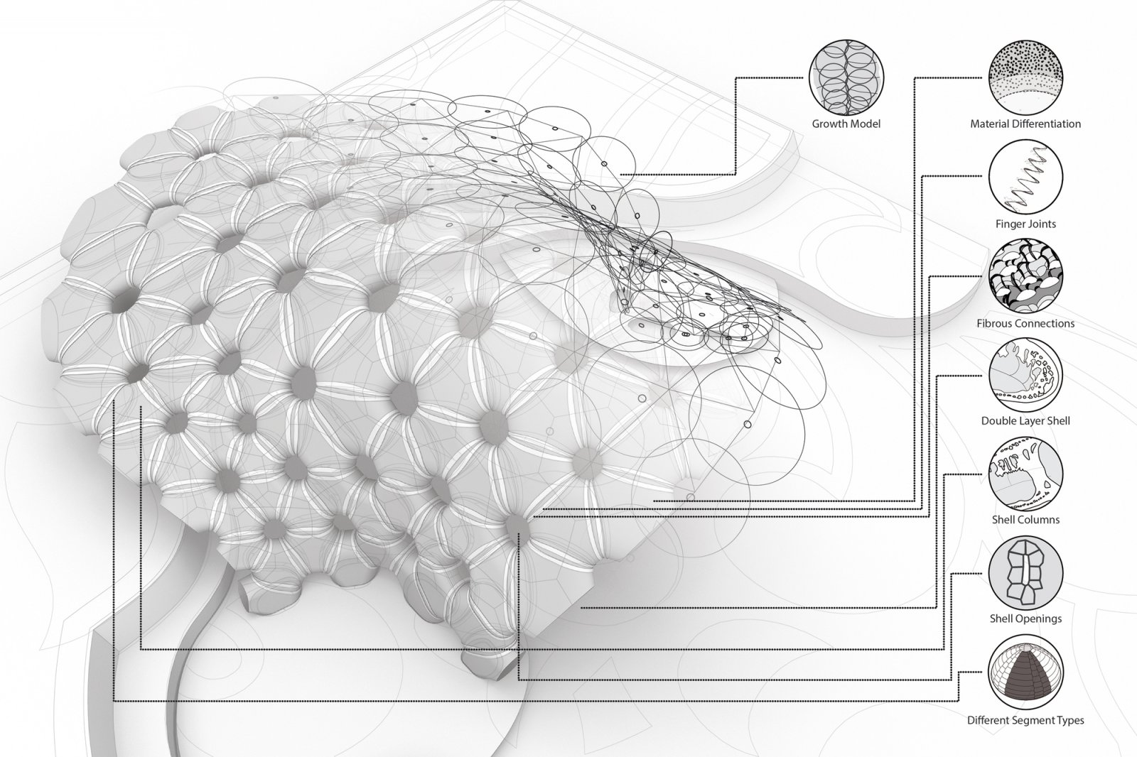 Process. Image © ICD/ITKE University of Stuttgart